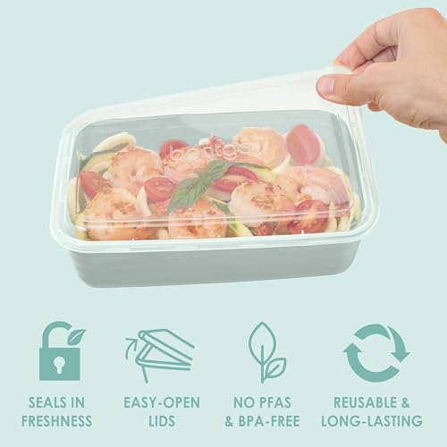 Prep Meal Prep Containers with Lids (Mint)
