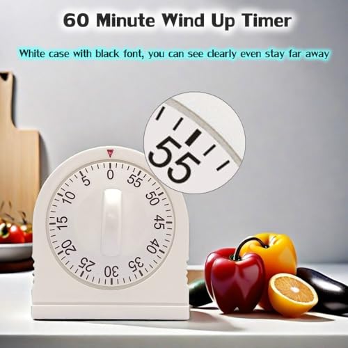 60 Minute Wind Up Timer (2 Pack)