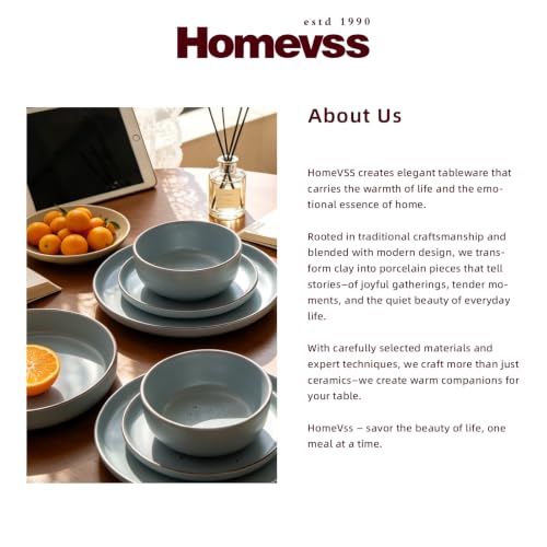 HomeVSS 20 Piece Dinnerware Set (Service for 4 - 20pc Set / Matte Blue)