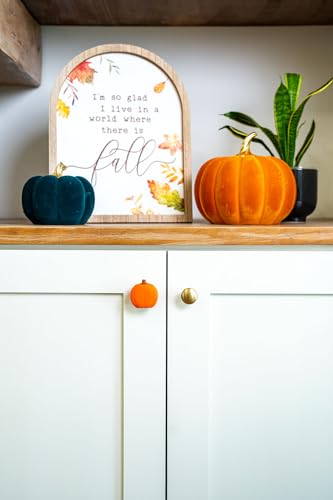 12pk Pumpkin Decorative Knob Covers (Pumpkin)