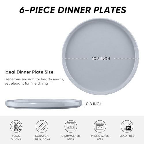 Dinner Plates Set of 6 (Haze Gray / 10.5'')