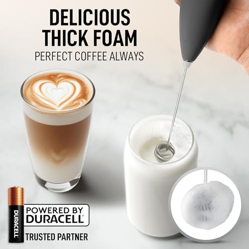 Powerful Milk Frother Wand With Duracell Batteries (Smoke Charcoal / Double Whisk + Batteries)