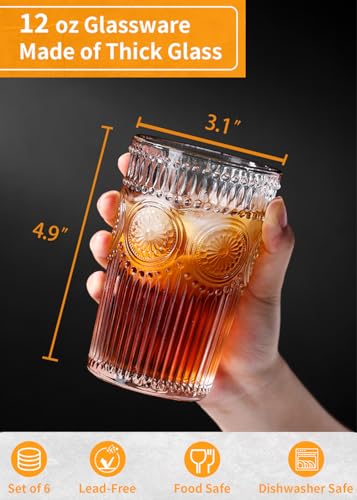 6pcs Vintage Drinking Glasses Set (Clear)