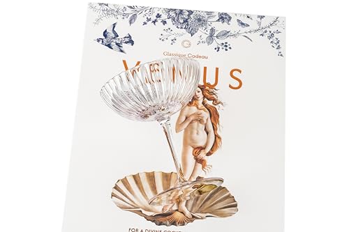 Venus Seashell Coupe Cocktail Glasses