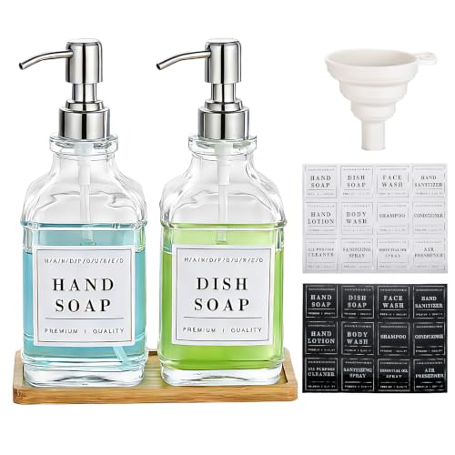 Glass Soap Dispenser with Silver Pump (Silver)