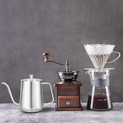 Gooseneck Pour Over Coffee Kettle 30 fl oz Stainless Steel Hand Drip Coffee Pot With Long Narrow Spout (Silver)
