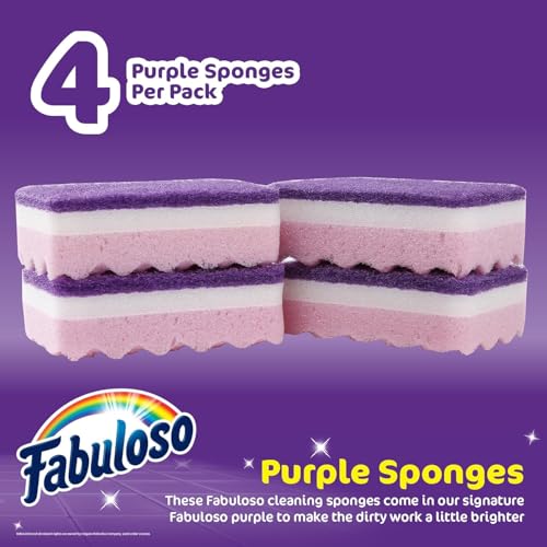 Scratch Free Kitchen Dish Sponges (Purple / 4 Count (Pack of 2))