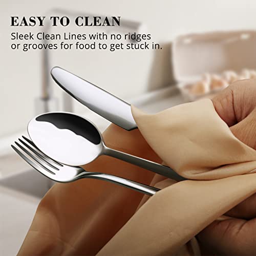 40 Piece Silverware Set (40 Piece / Silver)