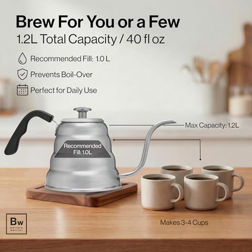 Gooseneck Kettle (Silver / 1.2L)