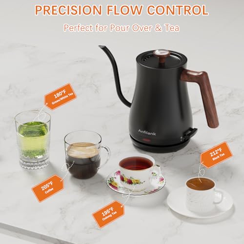 Gooseneck Electric Kettle with Thermometer