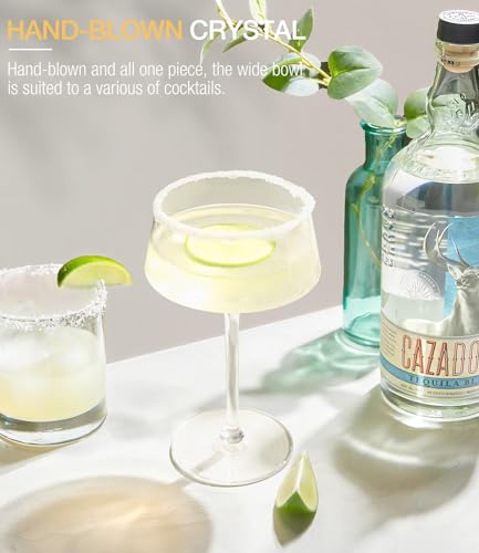 Martini Glasses Set of 6 (Set of 6 8oz)