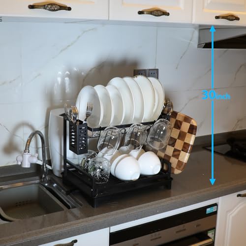 Dish Drying Rack (Black)