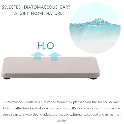 2Pcs Stone Soap Trays Water Absorbing Diatomite Coaster (White / 7.1" x 3.5")