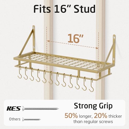 30 Inch Gold Pot Rack (Gold / 30 inch)