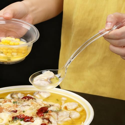 Large Plastic Serving Spoons (Clear Colander)