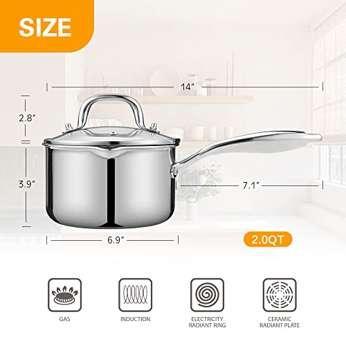 2.0 Quart Saucepan with Lid (2 Quarts)