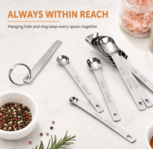 9 Pcs Measuring Spoons Set with Leveler (Silver / Set of 9)