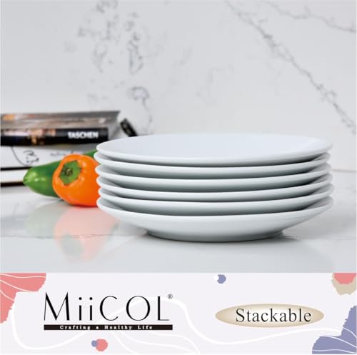 Small Dessert Plates Set of 6 (6 Inch-White)