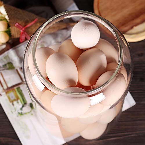 Egg Jar kitchen canister (1Gallon)