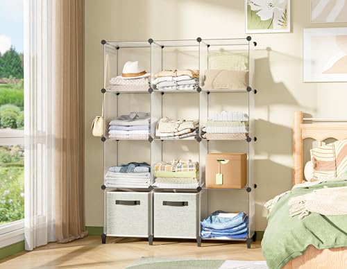 Closet Organizers and Storage (Transparent)