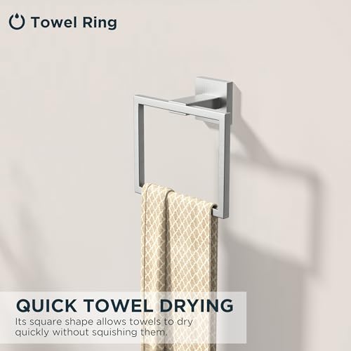 Toilet Paper Holder and Towel Ring Set (Stainless Steel)