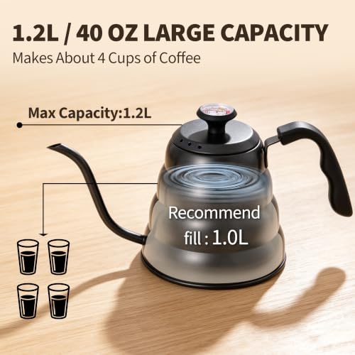 Gooseneck Kettle with Thermometer (Black)