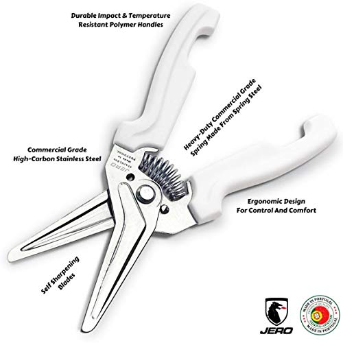 Spring Assisted Kitchen Shears with Holder