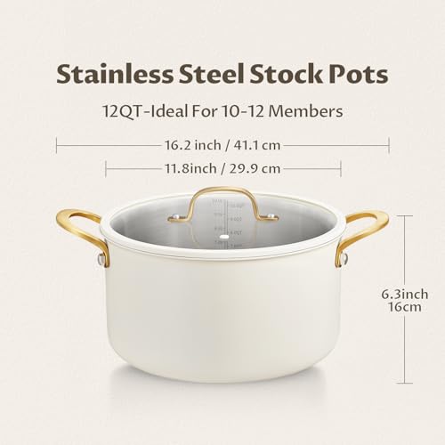 12 Quart Full Clad Try (12 Quarts)