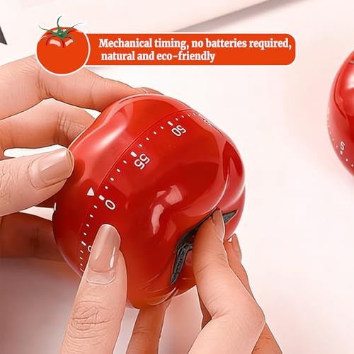 Egg Timer Kitchen Timers for Cooking