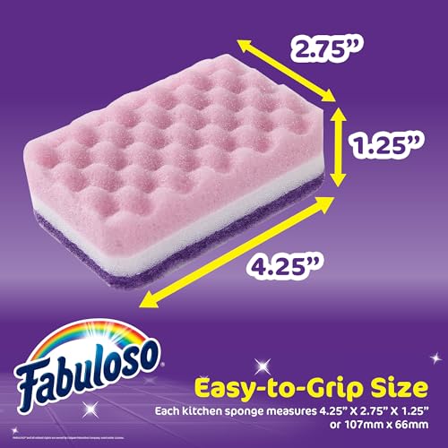 Scratch Free Kitchen Dish Sponges (Purple / 12 Count (Pack of 1))