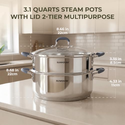 3.1 QT Stainless Steel Steamer Pot for Cooking Vegetables (3.1 Quarts)