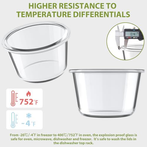 2Cup 16oz Glass Food Storage Containers with Lids (Multicolor+Clear / 16oz)
