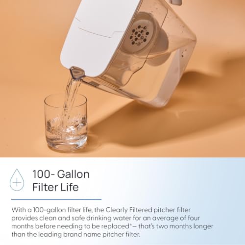 Water Filter Pitcher Replacement (3 Count (Pack of 1))