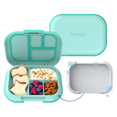 Chill Kids 4 Compartment Bento Box Leakproof Lunch Box (Aqua)