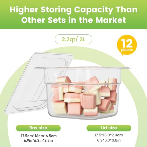 12 Pack NSF Polycarbonate Food Pan with Lid (12 PCS / 2.5'' Deep)