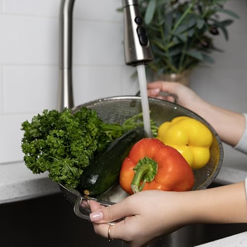 Stainless Steel Colander (5 Quart, Standard)