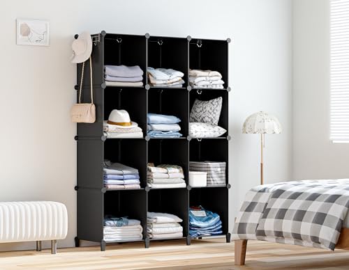 Closet Organizers and Storage (Black)