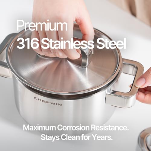 316 Stainless Steel 1.9 Quart Durable Sauce Pot with Lid Casserole