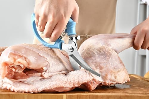 Heavy Duty Poultry Shears (Aqua Sky)