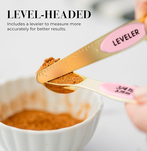 Pink Magnetic Measuring Spoons Set (Classic / Pink & Champagne Gold)