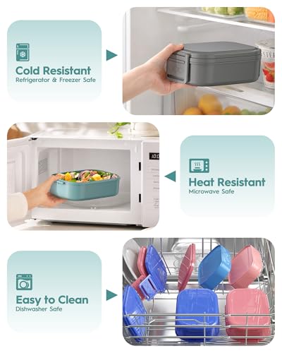 Bento Box Adult Lunch Box (Green)