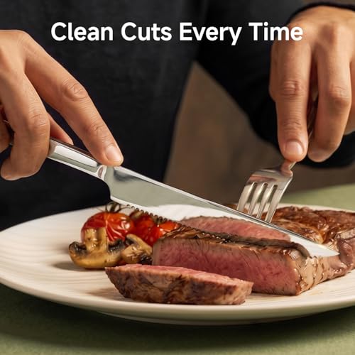 48 Piece Silverware Set with Steak Knives (48 Piece / Silver)