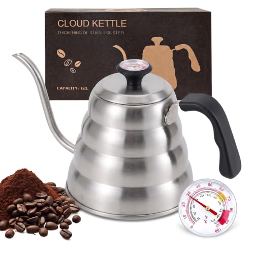 Gooseneck Kettle with Thermometer (Silver)