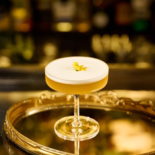 Champagne Coupe Glasses (7 oz)