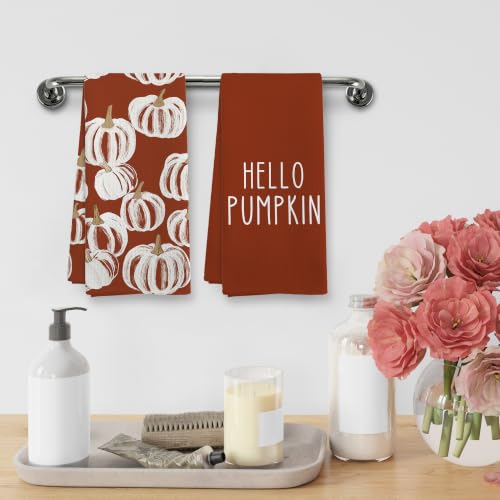 Fall Hello Pumpkin Rust Kitchen Towels and Dishcloths Sets of 2 (Rustic Pumpkin)