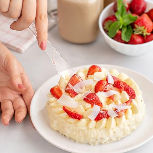 100 Count Extra Heavy Duty Clear Plastic Knives Disposable