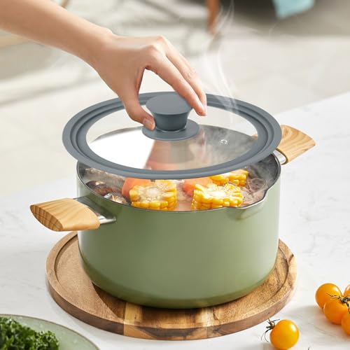 Universal Lid for Pots (10-11-12 inch)