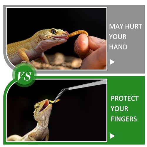 2 Pcs Extra Long Stainless Steel Reptile Feeding Tongs with Rubber Tip 15 Inch Bearded Dragon Aquarium Straight and Curved Long Tweezer Terrarium Feeder Tool for Tank (Silver / 15 Inch)