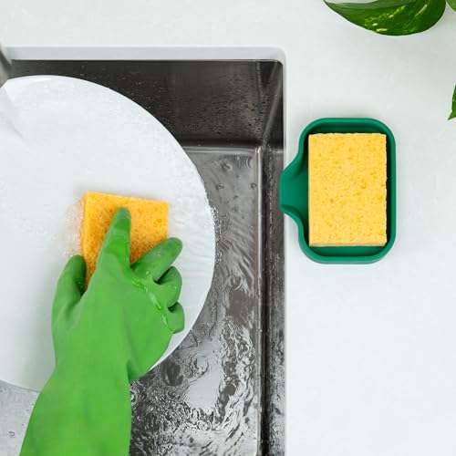 Small Silicone Sponge Holder (Pine Green (Small) / Small (4.9x3.3))