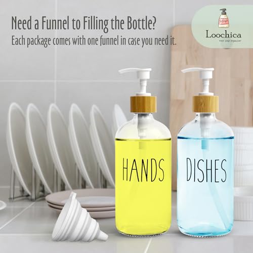 2 Pack Clear Glass Soap Dispenser with Plastic Pump (A05-2 X Clear)